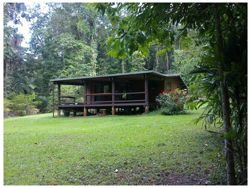 71 Buchanan Creek Rd COW BAY, Daintree QLD 4873