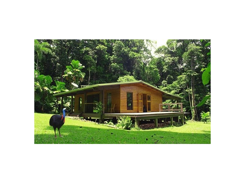 71 Buchanan Creek Rd COW BAY, Daintree QLD 4873