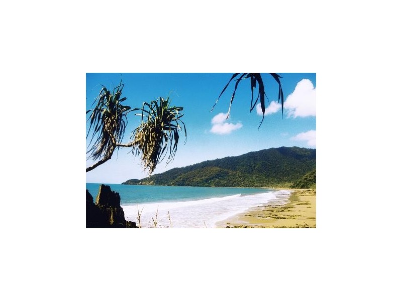 71 Buchanan Creek Rd COW BAY, Daintree QLD 4873