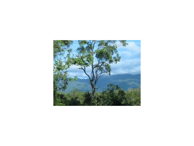 24 Stevens RD, Julatten QLD 4871