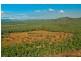630 Bakers Road, Mount Molloy QLD 4871