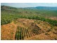 630 Bakers Road, Mount Molloy QLD 4871