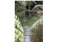 339 Maple Road CowBay, Daintree QLD 4873