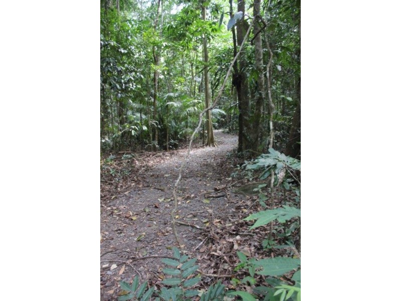 339 Maple Road CowBay, Daintree QLD 4873