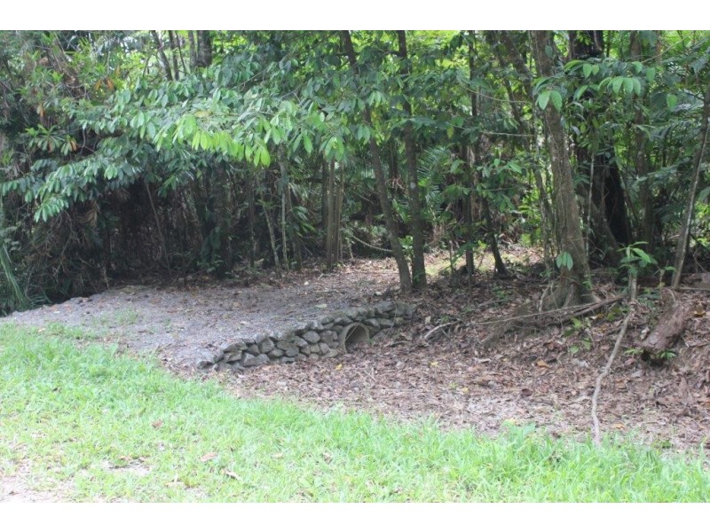 339 Maple Road CowBay, Daintree QLD 4873