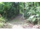 339 Maple Road CowBay, Daintree QLD 4873