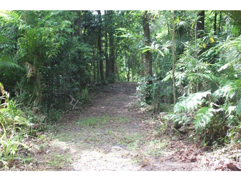 339 Maple Road CowBay, Daintree QLD 4873