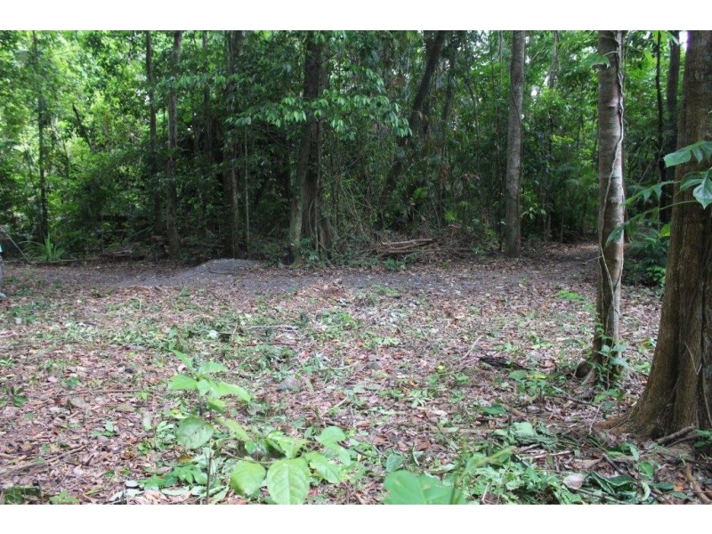 339 Maple Road CowBay, Daintree QLD 4873