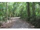 339 Maple Road CowBay, Daintree QLD 4873