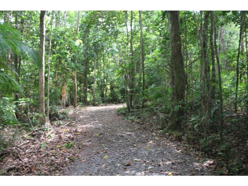 339 Maple Road CowBay, Daintree QLD 4873