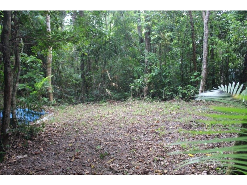 339 Maple Road CowBay, Daintree QLD 4873