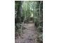339 Maple Road CowBay, Daintree QLD 4873