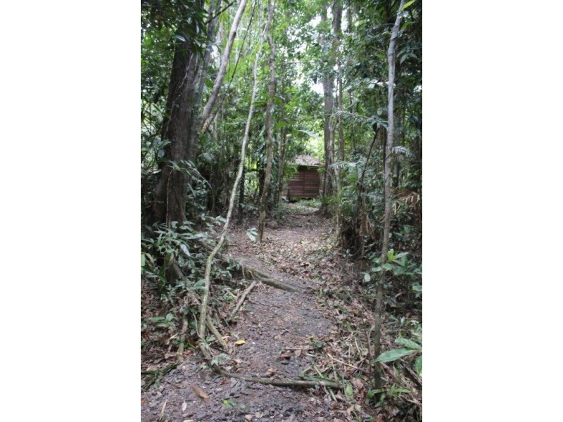 339 Maple Road CowBay, Daintree QLD 4873