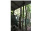 339 Maple Road CowBay, Daintree QLD 4873