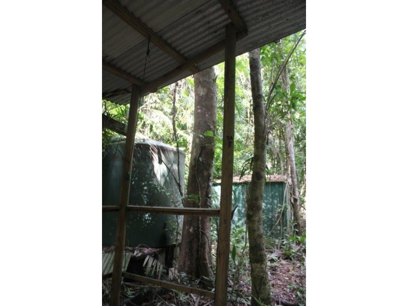 339 Maple Road CowBay, Daintree QLD 4873