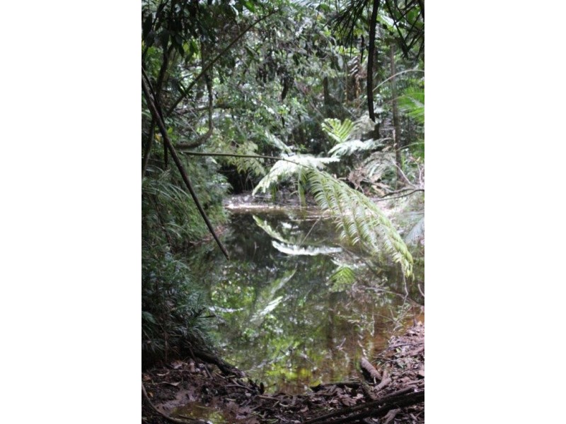 339 Maple Road CowBay, Daintree QLD 4873