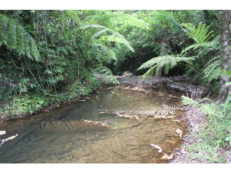 339 Maple Road CowBay, Daintree QLD 4873