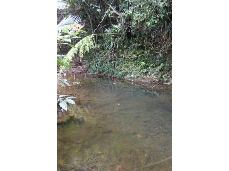 339 Maple Road CowBay, Daintree QLD 4873