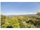 28 Murphy Street, Port Douglas QLD 4877