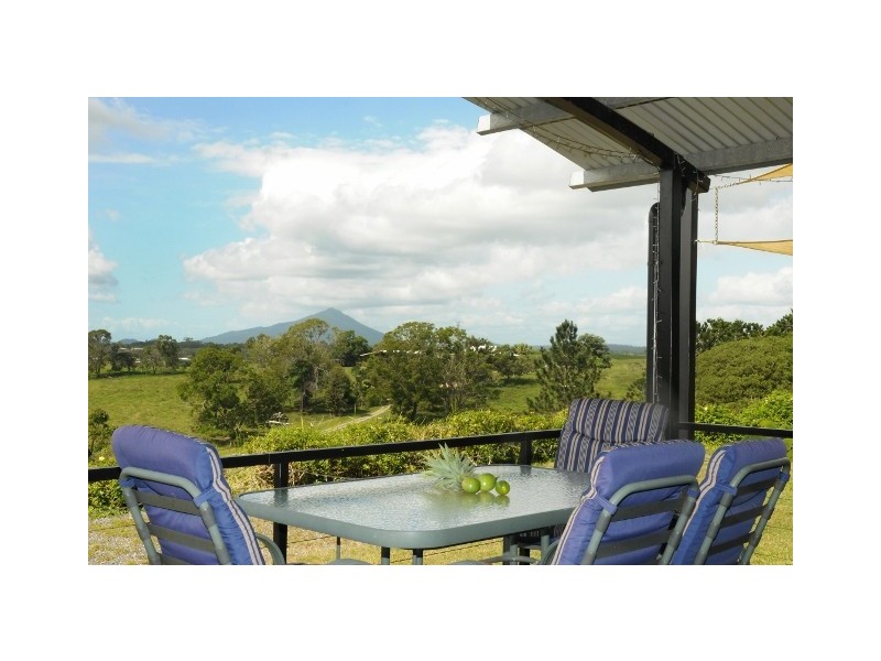 1250 Mt Molloy Road, Julatten QLD 4871
