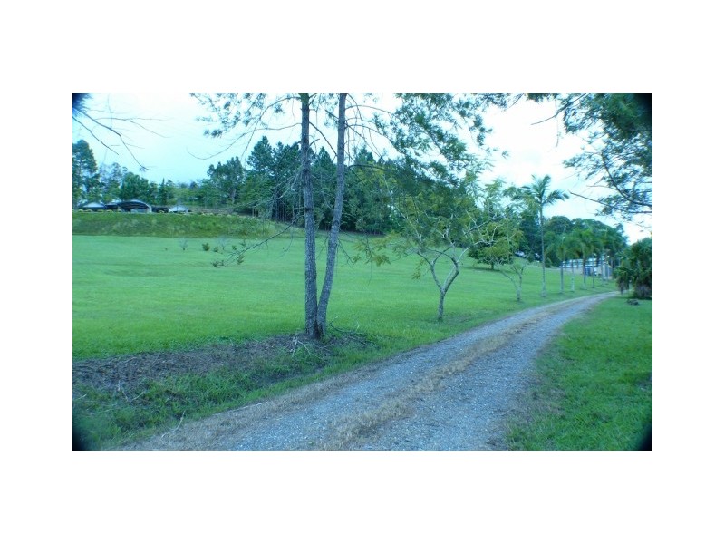 1250 Mt Molloy Road, Julatten QLD 4871