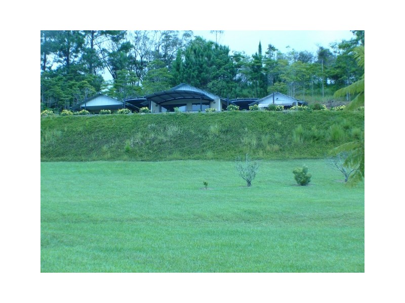 1250 Mt Molloy Road, Julatten QLD 4871