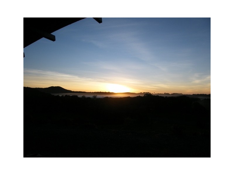 1250 Mt Molloy Road, Julatten QLD 4871