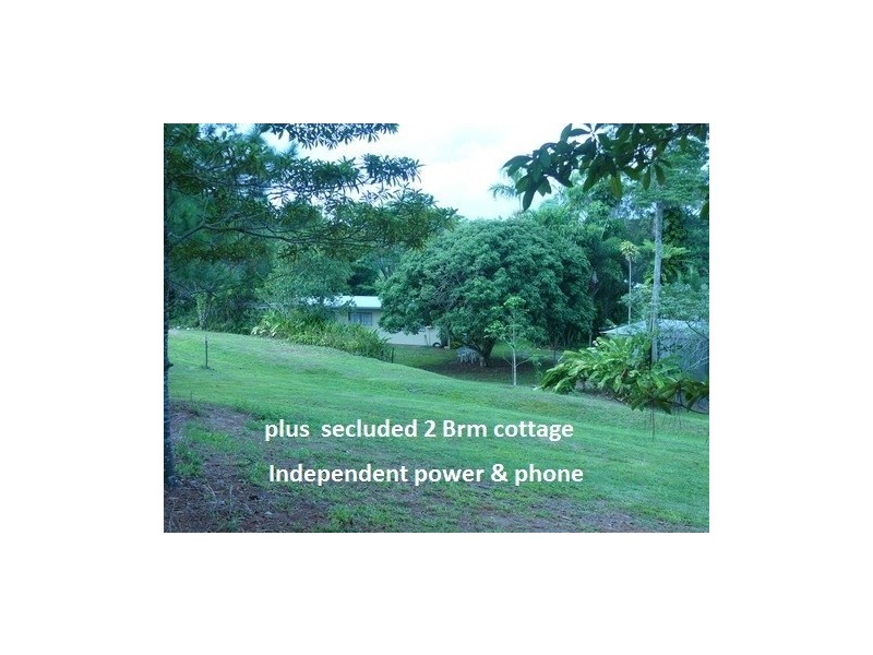 1250 Mt Molloy Road, Julatten QLD 4871