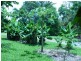 1250 Mt Molloy Road, Julatten QLD 4871