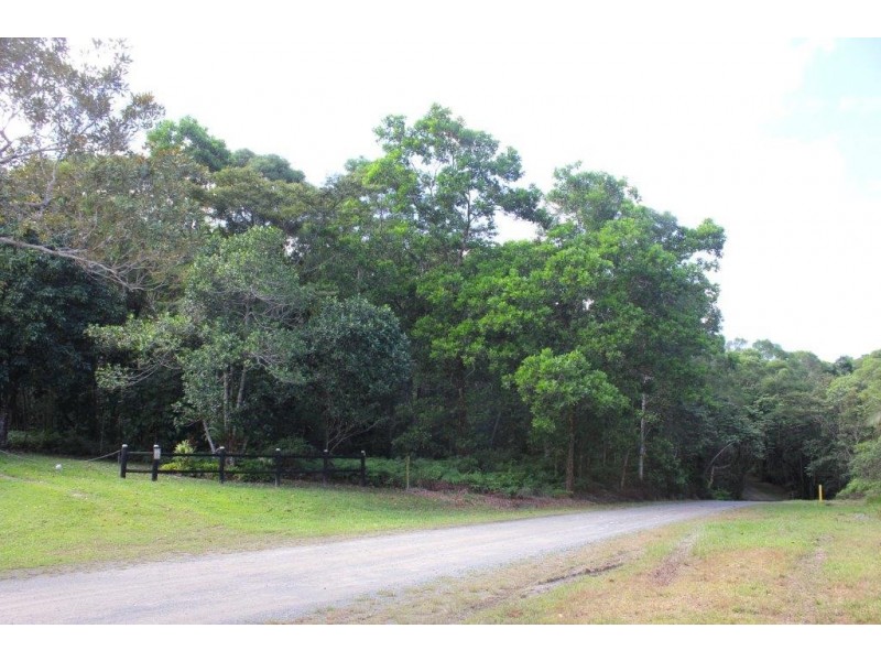 Lot 66 George Road FOREST CREEK, Daintree QLD 4873
