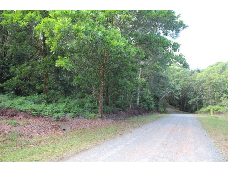 Lot 66 George Road FOREST CREEK, Daintree QLD 4873