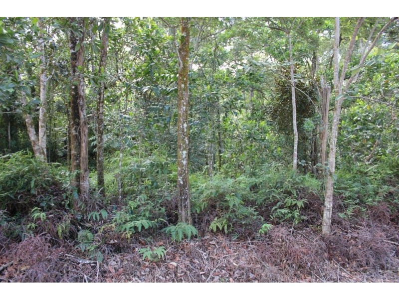 Lot 66 George Road FOREST CREEK, Daintree QLD 4873