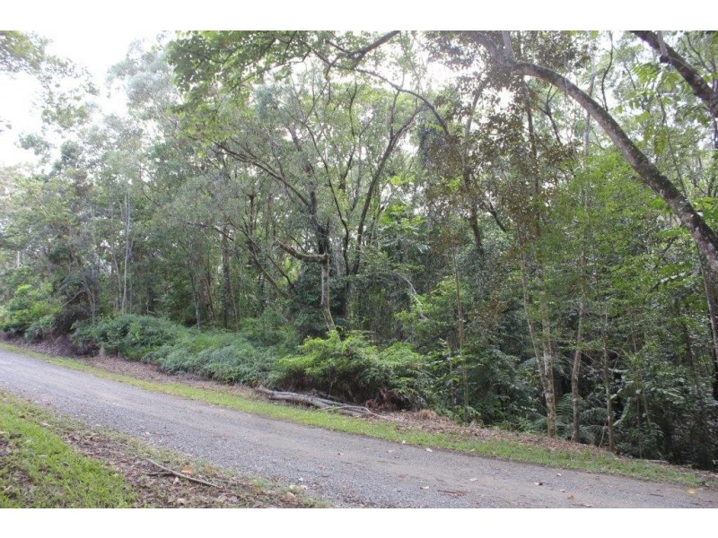 Lot 66 George Road FOREST CREEK, Daintree QLD 4873