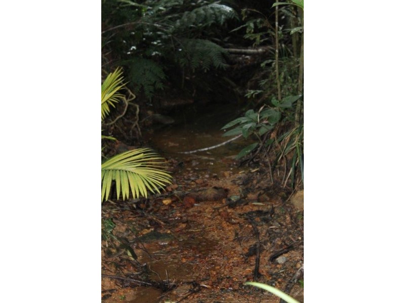 Lot 66 George Road FOREST CREEK, Daintree QLD 4873