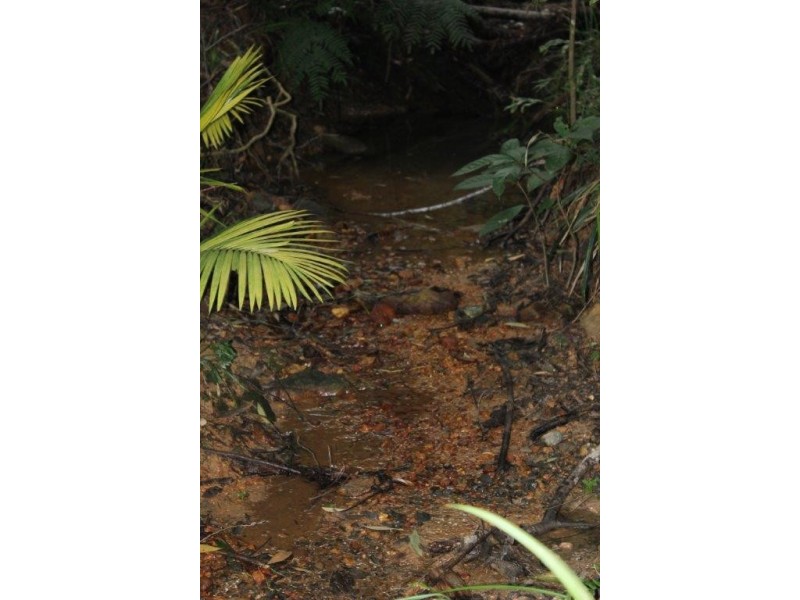 Lot 66 George Road FOREST CREEK, Daintree QLD 4873