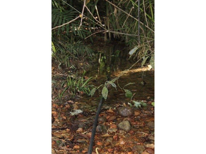 Lot 66 George Road FOREST CREEK, Daintree QLD 4873