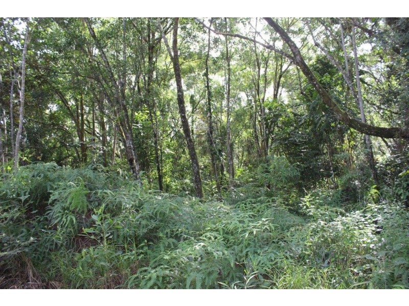 Lot 66 George Road FOREST CREEK, Daintree QLD 4873
