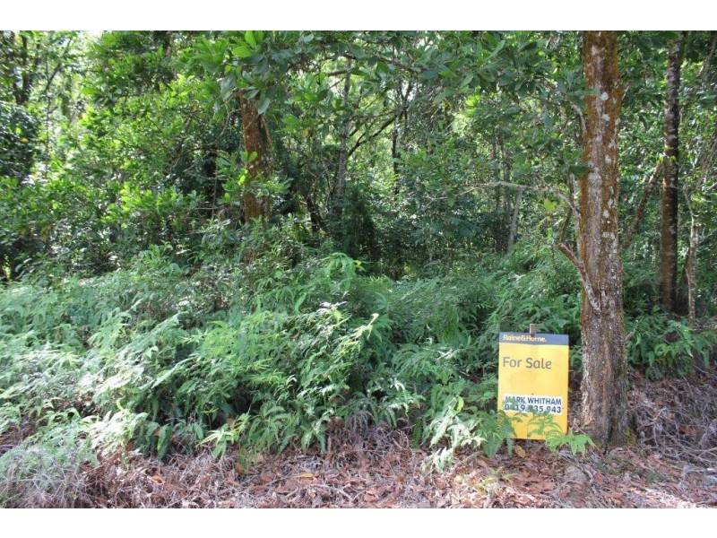 Lot 66 George Road FOREST CREEK, Daintree QLD 4873