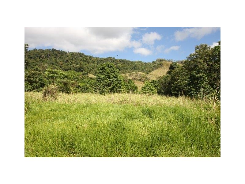 LOT 5 Beatrice Road (Stewart Creek Valley), Daintree QLD 4873