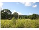 LOT 5 Beatrice Road (Stewart Creek Valley), Daintree QLD 4873