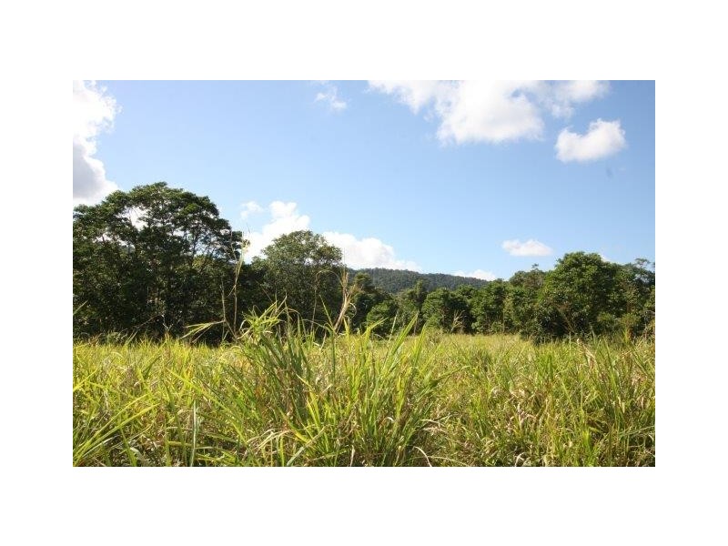 LOT 5 Beatrice Road (Stewart Creek Valley), Daintree QLD 4873
