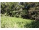 LOT 5 Beatrice Road (Stewart Creek Valley), Daintree QLD 4873