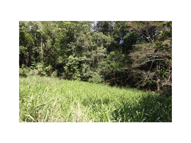 LOT 5 Beatrice Road (Stewart Creek Valley), Daintree QLD 4873