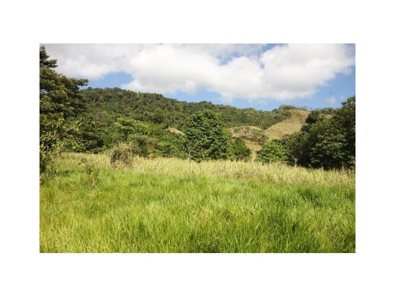 LOT 5 Beatrice Road (Stewart Creek Valley), Daintree QLD 4873