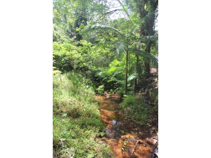 Lot 1 Cape Tribulation Road DIWAN, Daintree QLD 4873