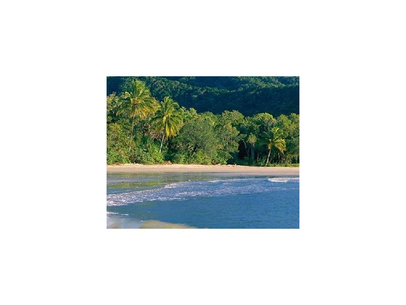 Lot 1 Cape Tribulation Road DIWAN, Daintree QLD 4873