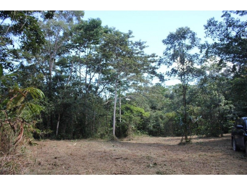 Lot 1 Cape Tribulation Road DIWAN, Daintree QLD 4873