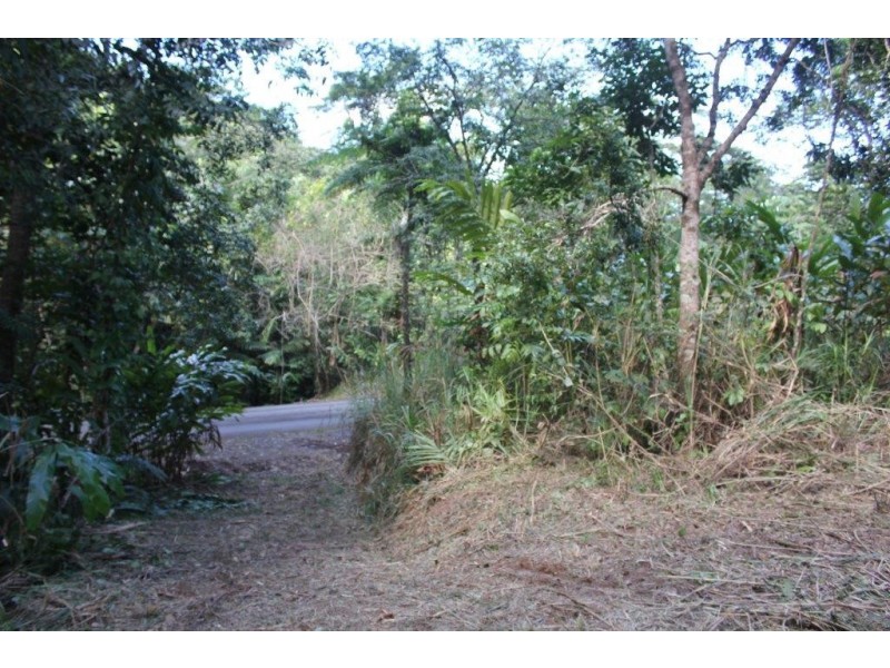 Lot 1 Cape Tribulation Road DIWAN, Daintree QLD 4873