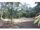 Lot 1 Cape Tribulation Road DIWAN, Daintree QLD 4873