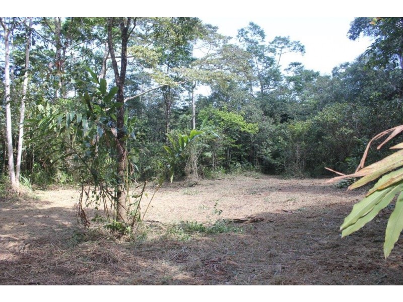 Lot 1 Cape Tribulation Road DIWAN, Daintree QLD 4873